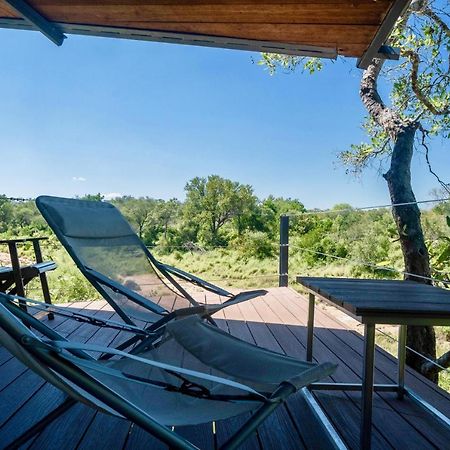 Greenfire Game Lodge Khu bảo tồn Khu bảo tồn Balule Game Reserve Ngoại thất bức ảnh