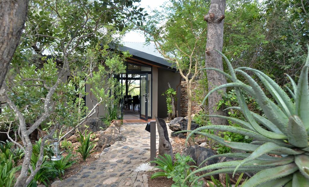 Greenfire Game Lodge Khu bảo tồn Khu bảo tồn Balule Game Reserve Ngoại thất bức ảnh