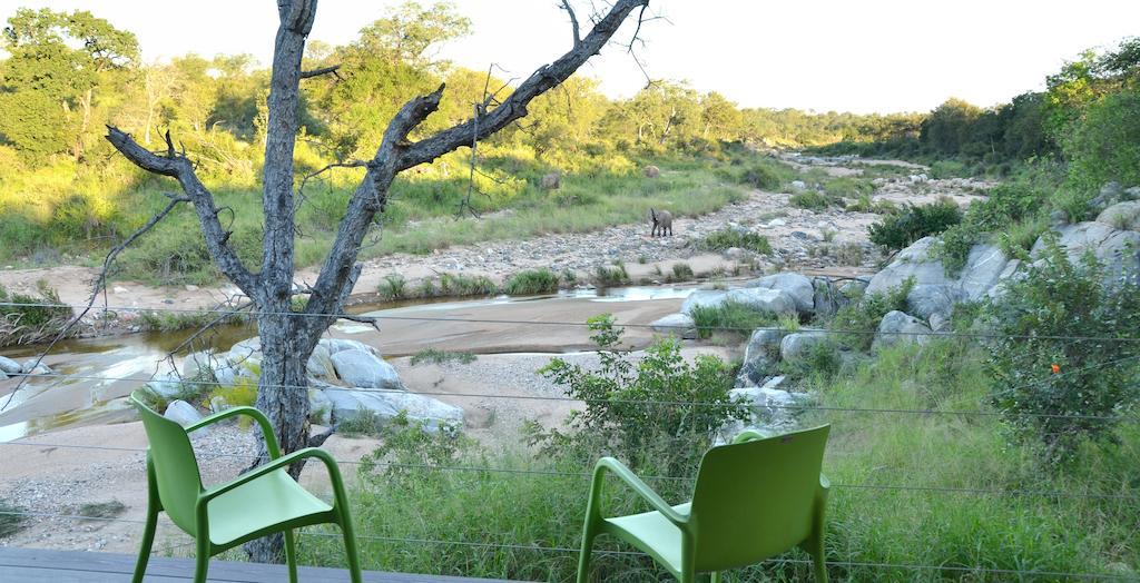 Greenfire Game Lodge Khu bảo tồn Khu bảo tồn Balule Game Reserve Ngoại thất bức ảnh