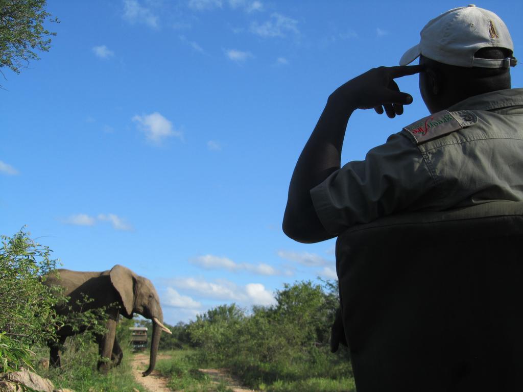 Greenfire Game Lodge Khu bảo tồn Khu bảo tồn Balule Game Reserve Ngoại thất bức ảnh