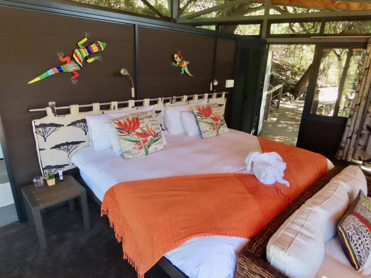Greenfire Game Lodge Khu bảo tồn Khu bảo tồn Balule Game Reserve Ngoại thất bức ảnh