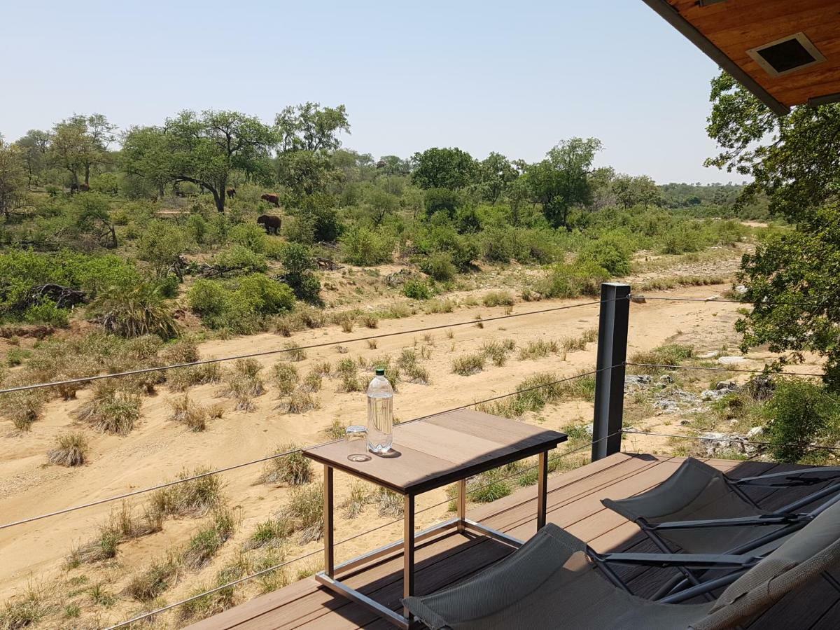 Greenfire Game Lodge Khu bảo tồn Khu bảo tồn Balule Game Reserve Ngoại thất bức ảnh